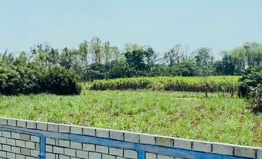 Venta de Terreno plano a solo 100m de la carretera Coatepec - Las Trancas, en la periferia de la Cd. Coatepec