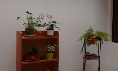 DEPARTMENTO EN RENTA PRIMERA PLANTA 230 M2