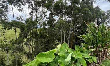 Se arrienda Casa Campestre vía Armenia sector tribunas