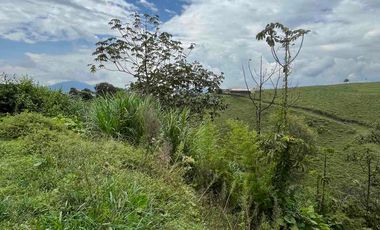 Se arrienda Casa Campestre vía Armenia sector tribunas