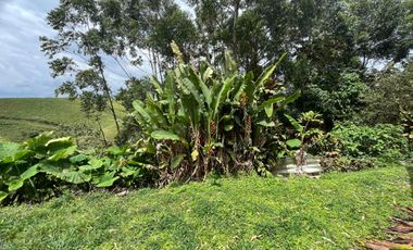 Se arrienda Casa Campestre vía Armenia sector tribunas