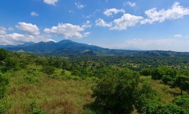 Residential  Lot for Sale in Morong Bataan. 49has.