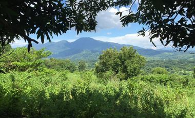Residential  Lot for Sale in Morong Bataan. 49has.