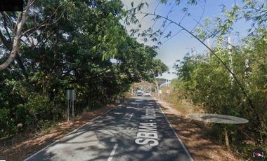 Residential  Lot for Sale in Morong Bataan. 49has.