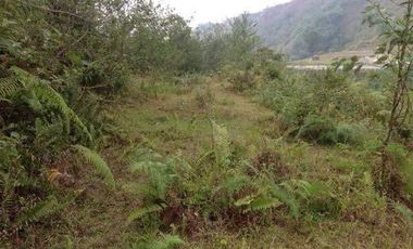 5,000 sqm / 8,500 per sqm LOT for sale in TALOY SUR, TUBA BENGUET-MAA