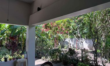 HOUSE AND LOT FOR SALE IN POBLACION, SIBULAN ID 15022