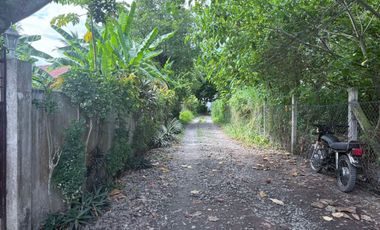 HOUSE AND LOT FOR SALE IN POBLACION, SIBULAN ID 15022