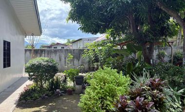 HOUSE AND LOT FOR SALE IN POBLACION, SIBULAN ID 15022