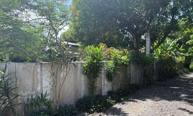 HOUSE AND LOT FOR SALE IN POBLACION, SIBULAN ID 15022