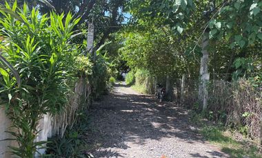 HOUSE AND LOT FOR SALE IN POBLACION, SIBULAN ID 15022
