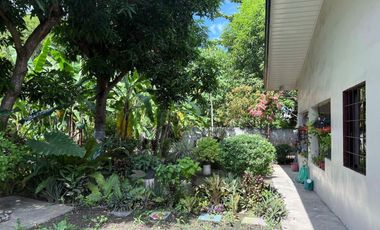 HOUSE AND LOT FOR SALE IN POBLACION, SIBULAN ID 15022