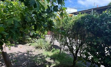 HOUSE AND LOT FOR SALE IN POBLACION, SIBULAN ID 15022