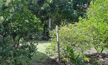 HOUSE AND LOT FOR SALE IN POBLACION, SIBULAN ID 15022