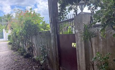 HOUSE AND LOT FOR SALE IN POBLACION, SIBULAN ID 15022
