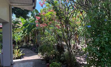 HOUSE AND LOT FOR SALE IN POBLACION, SIBULAN ID 15022