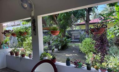 HOUSE AND LOT FOR SALE IN POBLACION, SIBULAN ID 15022