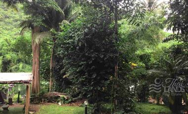 📍 Prime Riverside Land with Billion-Dollar Views
Title deed includes a riverside wooden house on the Kwai Yai River – 3 bedrooms, 3bathrooms, with a balcony. Located along Highway 3199, near Erawan Waterfall ☘️🍂
🔥 Only 16 million THB!