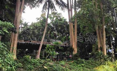 📍 Prime Riverside Land with Billion-Dollar Views
Title deed includes a riverside wooden house on the Kwai Yai River – 3 bedrooms, 3bathrooms, with a balcony. Located along Highway 3199, near Erawan Waterfall ☘️🍂
🔥 Only 16 million THB!