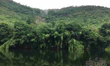 📍 Prime Riverside Land with Billion-Dollar Views
Title deed includes a riverside wooden house on the Kwai Yai River – 3 bedrooms, 3bathrooms, with a balcony. Located along Highway 3199, near Erawan Waterfall ☘️🍂
🔥 Only 16 million THB!