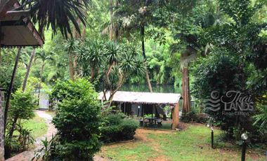 📍 Prime Riverside Land with Billion-Dollar Views
Title deed includes a riverside wooden house on the Kwai Yai River – 3 bedrooms, 3bathrooms, with a balcony. Located along Highway 3199, near Erawan Waterfall ☘️🍂
🔥 Only 16 million THB!