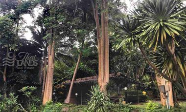 📍 Prime Riverside Land with Billion-Dollar Views
Title deed includes a riverside wooden house on the Kwai Yai River – 3 bedrooms, 3bathrooms, with a balcony. Located along Highway 3199, near Erawan Waterfall ☘️🍂
🔥 Only 16 million THB!