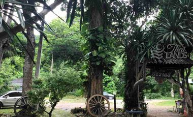 📍 Prime Riverside Land with Billion-Dollar Views
Title deed includes a riverside wooden house on the Kwai Yai River – 3 bedrooms, 3bathrooms, with a balcony. Located along Highway 3199, near Erawan Waterfall ☘️🍂
🔥 Only 16 million THB!