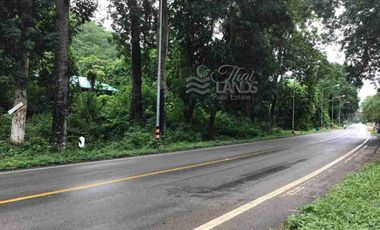 📍 Prime Riverside Land with Billion-Dollar Views
Title deed includes a riverside wooden house on the Kwai Yai River – 3 bedrooms, 3bathrooms, with a balcony. Located along Highway 3199, near Erawan Waterfall ☘️🍂
🔥 Only 16 million THB!
