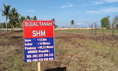BIG SALE !!! Di Jual / Di Sewakan Tanah SHM (For Sale / For Rent) Tanah Sangat Strategis Kavling SHM