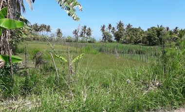 BIG SALE !!! Di Jual / Di Sewakan Tanah SHM (For Sale / For Rent) Tanah Sangat Strategis Kavling SHM