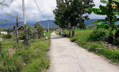 BIG SALE !!! Di Jual / Di Sewakan Tanah SHM (For Sale / For Rent) Tanah Sangat Strategis Kavling SHM