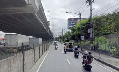 Industrial Lot for Sale in West Service Road, Parañaque City