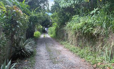 HOUSE AND LOT FOR SALE IN POBLACION, SIBULAN ID 15022