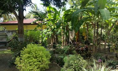 HOUSE AND LOT FOR SALE IN POBLACION, SIBULAN ID 15022