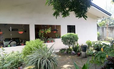 HOUSE AND LOT FOR SALE IN POBLACION, SIBULAN ID 15022
