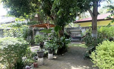 HOUSE AND LOT FOR SALE IN POBLACION, SIBULAN ID 15022