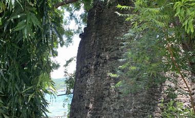 Beach Front Property in Santiago, Ilocos Sur For Sale