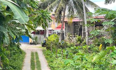 LOT FOR SALE WALKING DISTANCE TO HNU