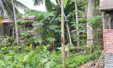 LOT FOR SALE WALKING DISTANCE TO HNU