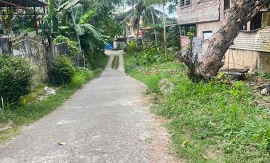 LOT FOR SALE WALKING DISTANCE TO HNU