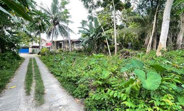 LOT FOR SALE WALKING DISTANCE TO HNU