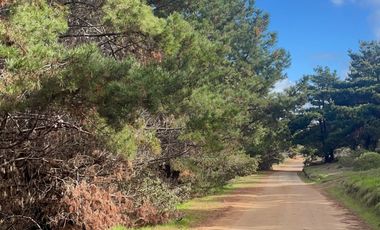 Increíble parcela con acceso a playa en  Fundo Laguna Verde en Caraumilla Valparaiso