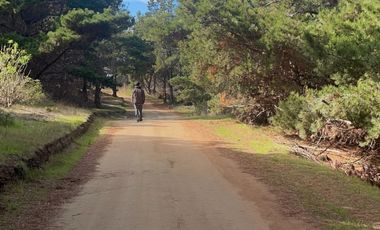 Increíble parcela con acceso a playa en  Fundo Laguna Verde en Caraumilla Valparaiso