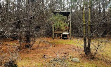 Increíble parcela con acceso a playa en  Fundo Laguna Verde en Caraumilla Valparaiso