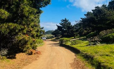 Hermosa parcela con vista y acceso a playa Las Dorcas en Caraumilla Valparaiso