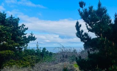 Hermosa parcela con vista y acceso a playa Las Dorcas en Caraumilla Valparaiso
