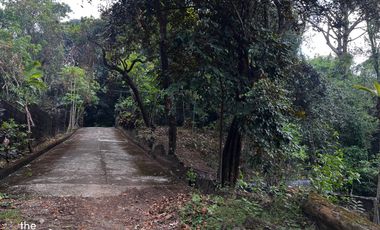 Elevated Lot in Beverly Hills Ortigas Ext Taytay (perfect for resort)