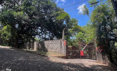 Elevated Lot in Beverly Hills Ortigas Ext Taytay (perfect for resort)