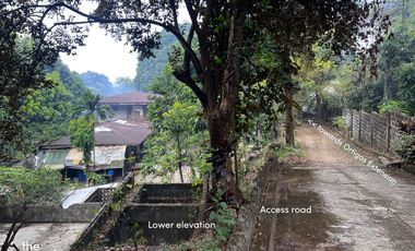 Elevated Lot in Beverly Hills Ortigas Ext Taytay (perfect for resort)