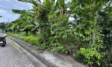 300 sqm 𝐋𝐎𝐓 𝐅𝐎𝐑 𝐒𝐀𝐋𝐄 at 𝐕𝐢𝐬𝐭𝐚𝐦𝐚𝐫