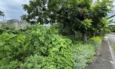 300 sqm 𝐋𝐎𝐓 𝐅𝐎𝐑 𝐒𝐀𝐋𝐄 at 𝐕𝐢𝐬𝐭𝐚𝐦𝐚𝐫